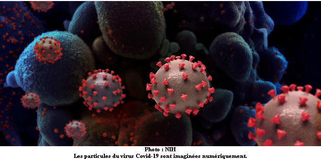 Coronavirus : le monde a dépassé la barre des plus de 50 millions de cas détectés (bilan OMS)